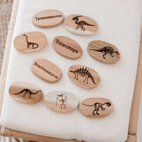 Q Toys Dinosaur Stones (Set of 10)