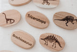 Q Toys Dinosaur Stones (Set of 10)