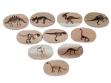 Q Toys Dinosaur Stones (Set of 10)