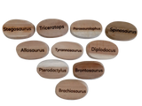 Q Toys Dinosaur Stones (Set of 10)