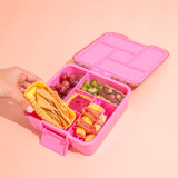 MontiiCo Mixed Bento Cups - Sunbeam