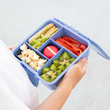 MontiiCo Mixed Bento Cups - Navy