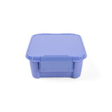 MontiiCo Bento Two - Splash