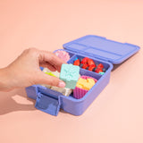 MontiiCo Dip & Sauce Box - Marine