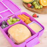 MontiiCo Feast Lunchbox Bundle - Fuchsia & Dusk