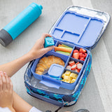 MontiiCo Feast Bento Lunchbox - Splash