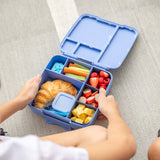 MontiiCo Feast Bento Tray - Navy