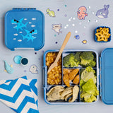 Little Lunchbox Co Bento Five - Shark