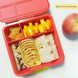 Little Lunchbox Co Bento Cups - Yellow Rectangles
