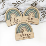 One.Chew.Three Wooden Monthly Milestone Plaques - Rainbow Series (Blue Lagoon)