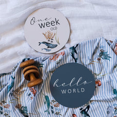 Snuggle Hunny Milestone Cards - Whale & Azure