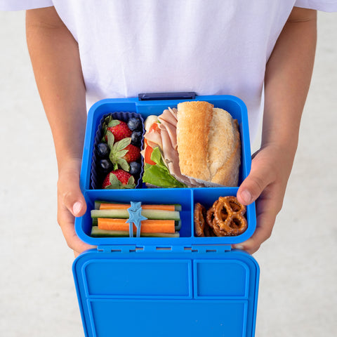 Little Lunchbox Co Bento Three - Blueberry