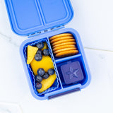 Little Lunchbox Co Bento Star Surprise Boxes - Elderberry