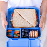 Little Lunchbox Co Bento Three+ - Blueberry