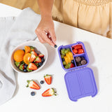 Little Lunchbox Co Bento Two - Grape